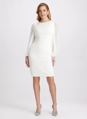 Pleated Sleeves Dress